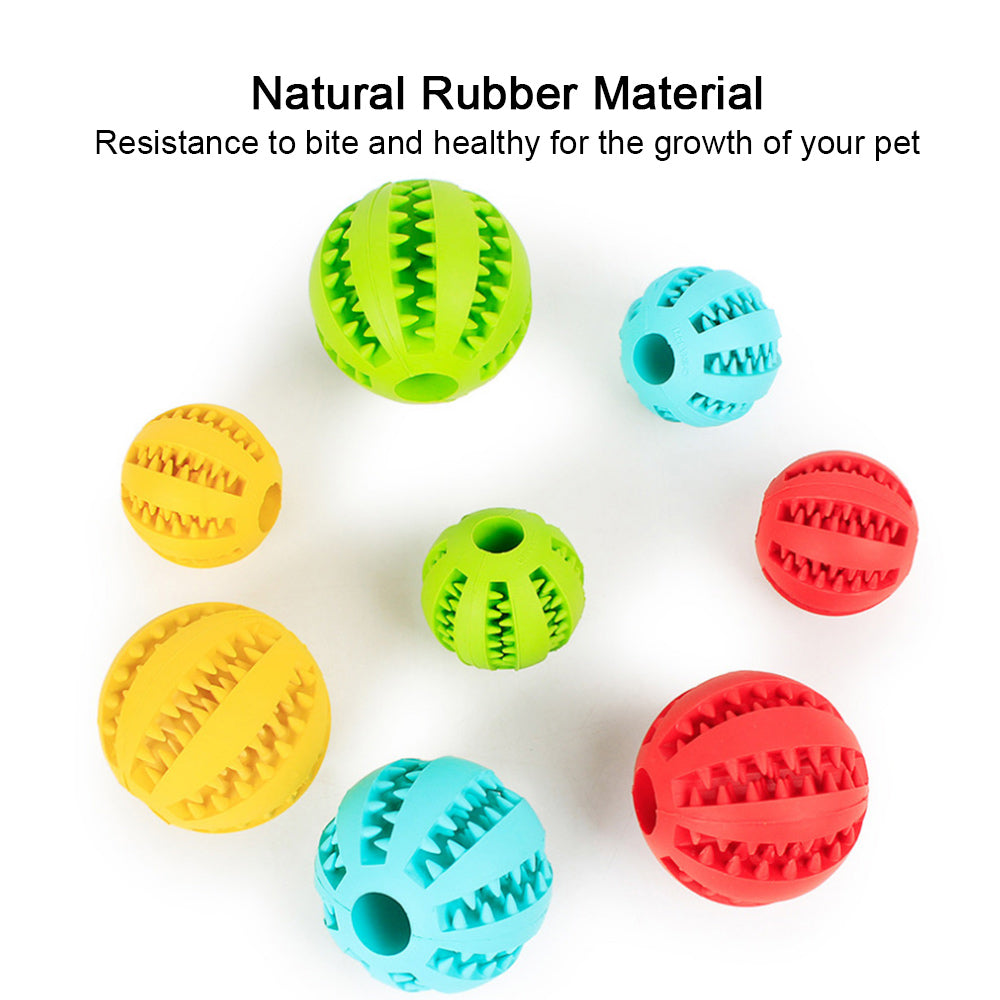 Interactive dog toy